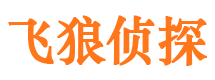 新城区市侦探公司